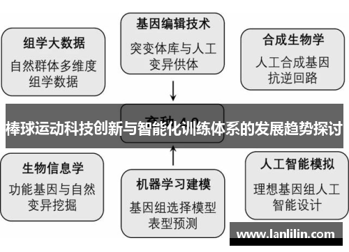 棒球运动科技创新与智能化训练体系的发展趋势探讨